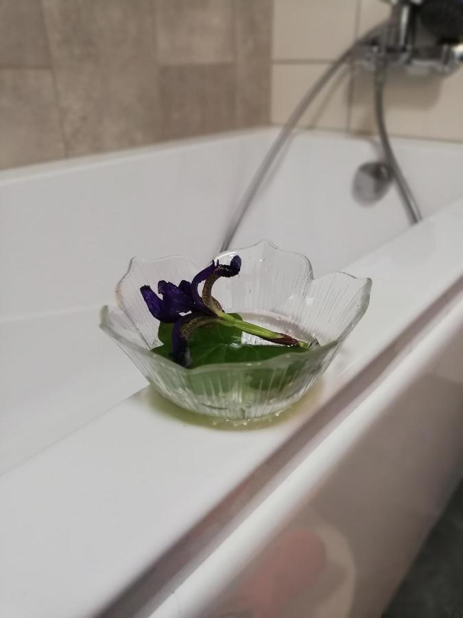 Appartamento Froja Zator Esterno foto